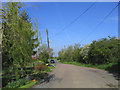 Rural Lane, Great Warley