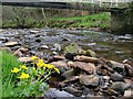 Haltwhistle Burn