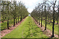 Bishop?s Lydeard: Paxford Fruit Farm