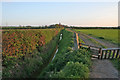 Moor Dyke near the A52