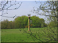 Millennium Beacon, Little Warley Common