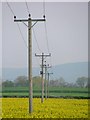 Electricity Poles, Field of Rape