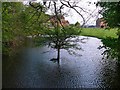 Pond, Middleton Grange Farm