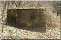 Pillbox in the wood, Hurtmore, Shackleford