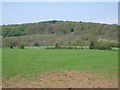 Fields north of Northcote Lane