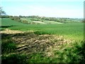 Chilterns fields