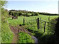 Cavankilgreen Townland