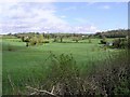 Cavankilgreen Townland