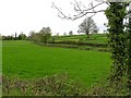 Drumearn Townland