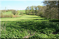 Clayhanger: towards Bulcombe Copse