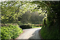 Upton: by the entrance to Ranscombe Farm