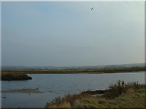TF7544 : Titchwell RSPB reserve, Norfolk. by Andy Peacock