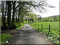 Country Road at West Titwood