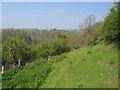 Grassy bank near to Oat Mill Barn, Aldon