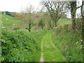 Track near Burraton