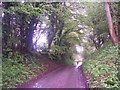 Road by Vann Farm, Empshott