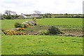 Trekewis Farm and Surrounding Pastures