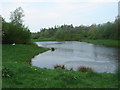 Small lake with swans nesting on the edge