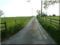 SJ5553 : The lane to Meadow Farm by David Medcalf