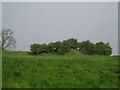 Castle mound at Laxton, Nottinghamshire