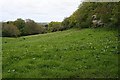 Valley Floor at Cot Hill