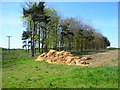 On the path from Low Haswell to Hetton le Hill