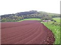 Looking towards Bailey Pit Farm