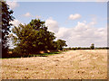 After the Harvest, Norfolk