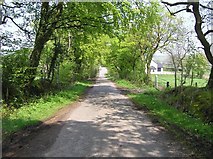 H6759 : Road at Lurgacullion by Kenneth  Allen
