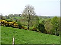 Killeeshil Townland