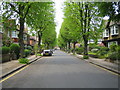 Bush Hill Park: Abbey Road