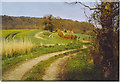 Trackway to Markwood Farm.