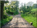 Longhope - Lane to Preece Moor Farm