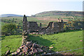 Ruined house at Spring Head