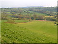 Towards Sloncombe from  lane near Linscott