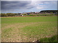 Looking Towards Coneyhatch From B979