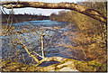 Undercut Riverbank at Brompton-on-Swale.