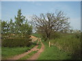 Track to Dobcross Hall