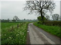 Lane near Willoughby Waterleys