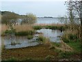 J4278 : Reservoir at Ballymenoch by Michael Parry