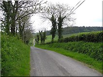 H6349 : Road at Derryslavan by Kenneth  Allen