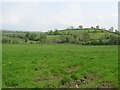 H6549 : Ivy Hill, Co. Monaghan by Kenneth  Allen