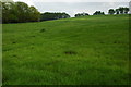 The meadow land before you reach Hallsgrove copse