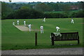 Village Cricket