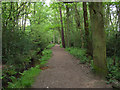 Footpath near Fleet Pond