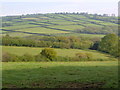 Fields above Broad Moor