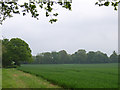 Farmland near Mill Lane