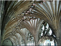 TR1557 : Canterbury Cathedral: the Cloisters. by Francois Thomas