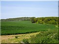 Farmland SE of Provender