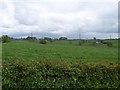 Countryside near Dunlop